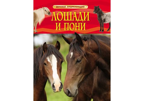 Детская энциклопедия Лошади и пони