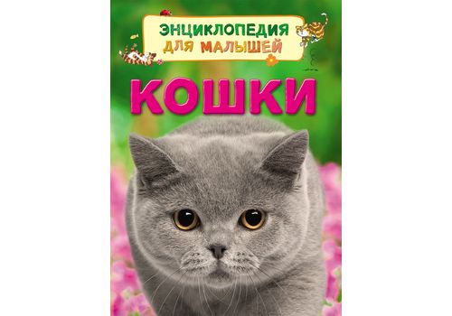 Энциклопедия для малышей Кошки