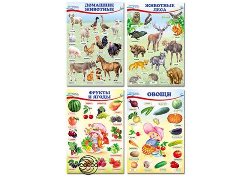 Комплект позновательных мини-плакатов Домашние лесные животные фрукты и ягоды овощи 4л А4 + текст