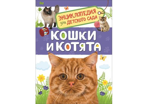 Энциклопедия для детского сада Кошки и котята