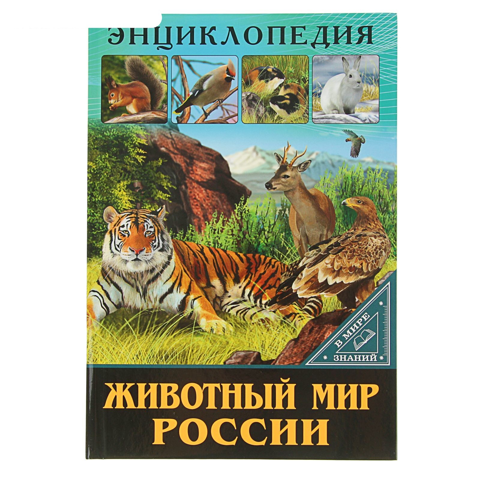 Энциклопедия Животных Фото