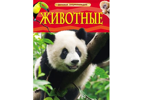 Детская энциклопедия Животные