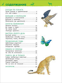 Энциклопедия для детского сада Удивительные животные