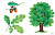 Картотека предметных картинок Наглядный дидак-ий материал 3-7 лет выпуск 2 Деревья, кустарники ФГОС