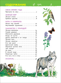 Энциклопедия для детского сада В лесу